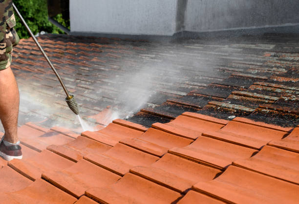 Best Pressure Washing Patio  in Sellersburg, IN